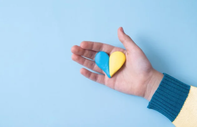 Будут ли последствия у неприбыльных организаций при оказании помощи ВПЛ: разъяснение