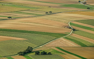 Коли орендар сільгоспземель сплачує мінімальне податкове зобов’язання: відповідь ДПС