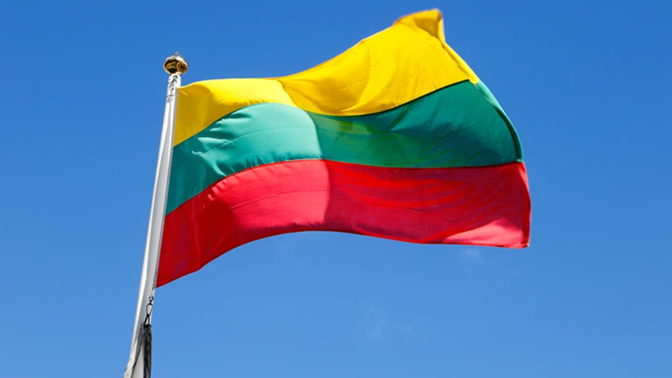 В Литве анонсировали начало обмена вида на жительство для украинских беженцев: детали