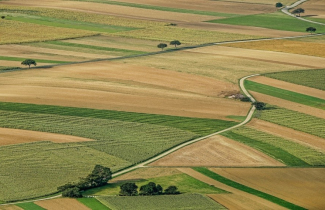 Когда арендатор сельхозземель уплачивает минимальное налоговое обязательство: ответ ГНС