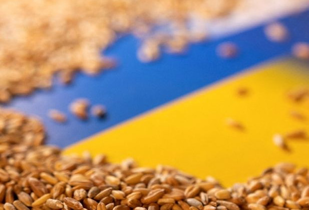 На Закарпатье появится «сухой порт» для зерна