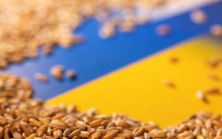 На Закарпатті з’явиться «сухий порт» для зерна
