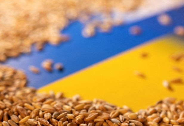 На Закарпатье появится «сухой порт» для зерна