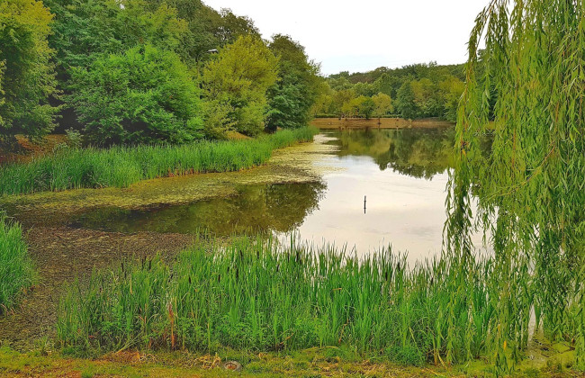 Застройка парка «Нивки» в Киеве: сообщено о подозрении экс-чиновнику КГГА и бывшему руководителю компании