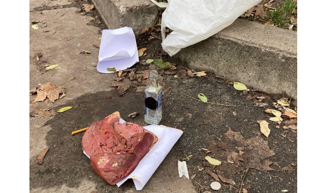 В Киеве неизвестные подбрасывают собакам еду с иглами