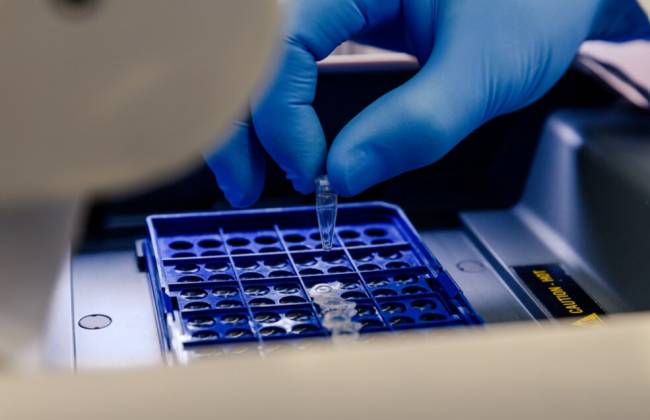 Украинцы в Европе смогут сдать образцы ДНК для поиска пропавших без вести родственников