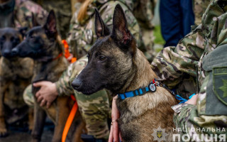 В Кинологическом центре полиции Закарпатья щенки-терапевты впервые встретились с новыми хозяевами