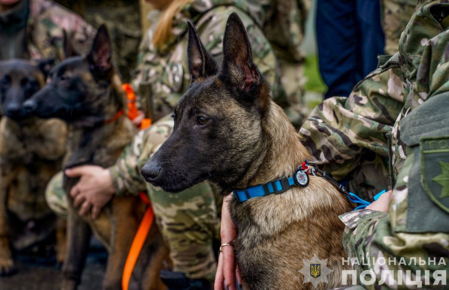 В Кинологическом центре полиции Закарпатья щенки-терапевты впервые встретились с новыми хозяевами