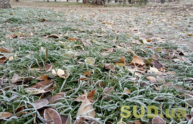 В Киеве закончился рекордно аномальный безморозный период