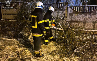 Наслідки негоди: повалені дерева та знеструмлені населені пункти