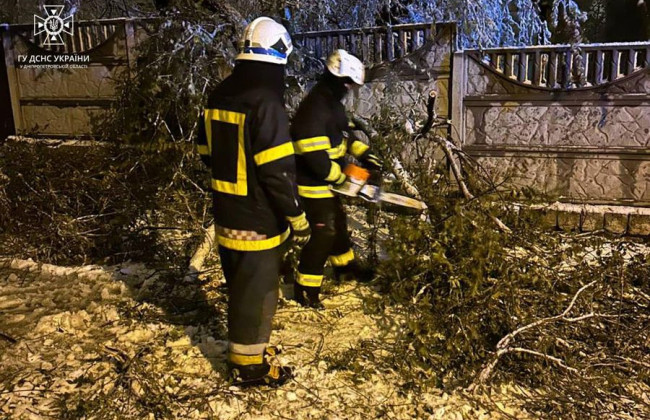 Последствия непогоды: поваленные деревья и обесточенные населенные пункты