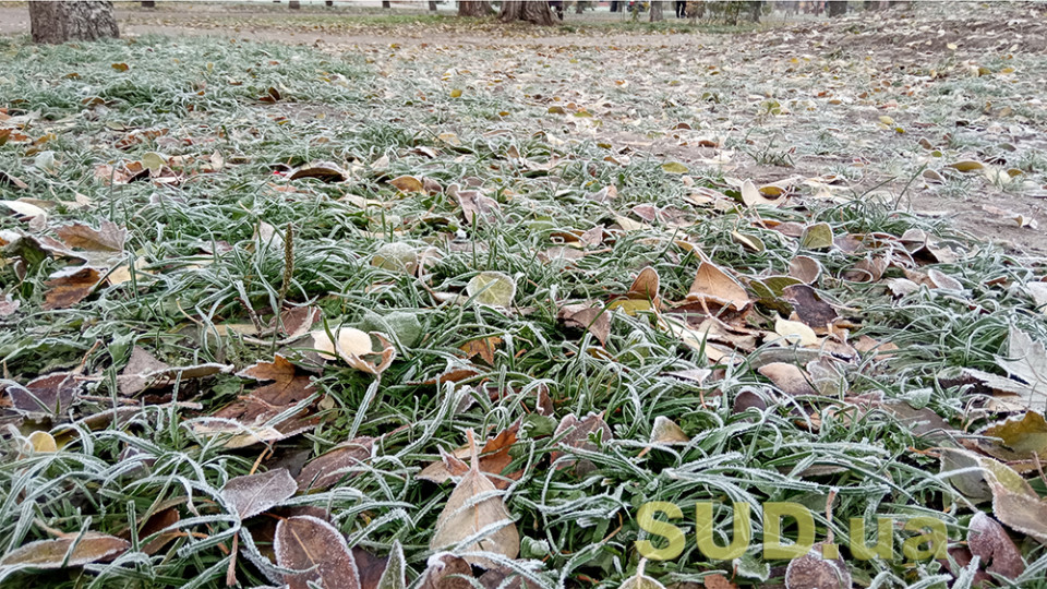 У Києві закінчився рекордно аномальний безморозний період