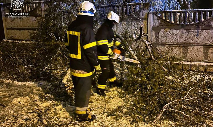 Наслідки негоди: повалені дерева та знеструмлені населені пункти