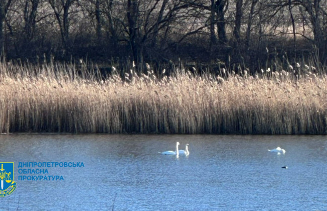 На Днепропетровщине общине вернули водохранилище стоимостью 1,7 млрд грн