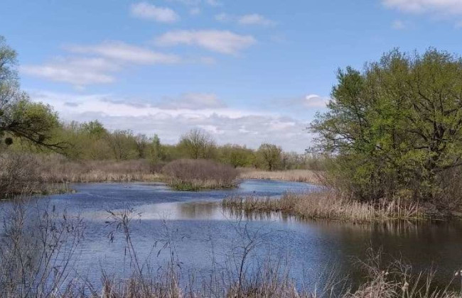 Обществу Киева вернули земли заказника «Жуков остров», которые передали под застройку