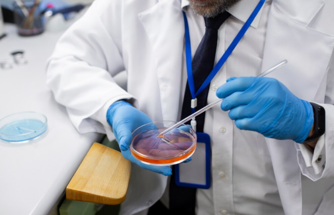 Правительство поддержало создание Государственной информационной системы трансплантации стволовых клеток