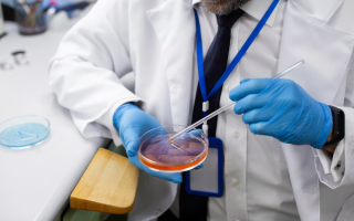 Уряд підтримав створення Державної інформаційної системи трансплантації стовбурових клітин