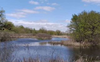 Громаді Києва повернули землі заказника «Жуків острів», які передали під забудову