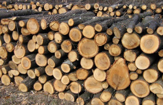 Кто имеет право на назначение льготы или субсидии на твердое печное топливо: разъяснение