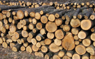 Хто має право на призначення пільги або субсидії на тверде пічне паливо: роз’яснення