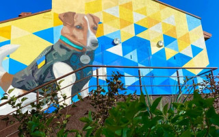 В Киеве ввели временный запрет на создание новых муралов