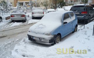 Як правильно очистити автомобіль від снігу: поради