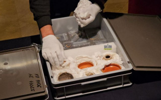 «Скіфське золото» показали в Києво-Печерській лаврі, фото та відео