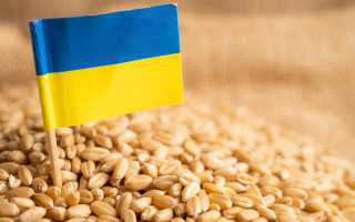 Словаччина продовжить заборону на імпорт сільськогосподарської продукції з України
