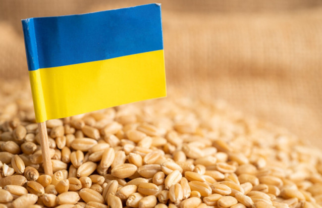 Словакия продлит запрет на импорт сельскохозяйственной продукции из Украины