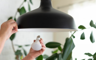 Пенсионеры могут бесплатно получить дополнительно 5 светодиодных ламп: какие для этого условия