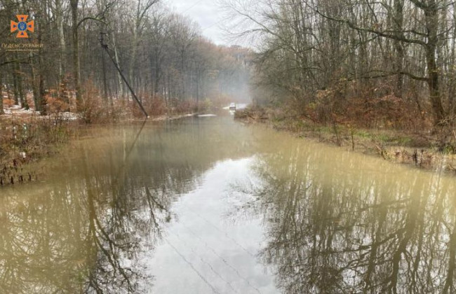 На Закарпатье из-за обильных дождей реки вышли из берегов: какие города подтопило