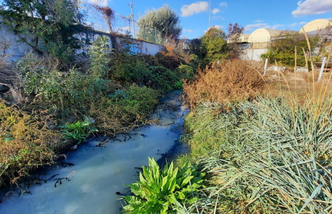 Все нечистоты стекают в воду: в Одессе канализационная станция загрязняет пляж и море, фото