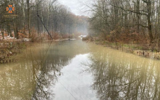 На Закарпатье из-за обильных дождей реки вышли из берегов: какие города подтопило