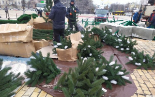 У центрі Києва почали встановлювати новорічну ялинку, фото та відео