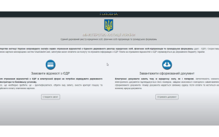 Получить сведения из ЕГР можно самостоятельно онлайн: видеогайд оформления бесплатного и платного запроса