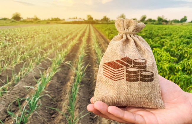 Нарушение установленного порядка отвода земли в собственность может нарушать интересы государства, охватывающие в том числе общественные интересы, - позиция ВС