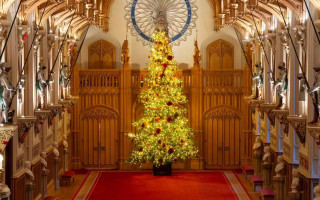 Дві тисячі вогників: у Віндзорському замку встановили головну святкову ялинку, відео