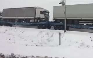 Українські фури з Польщі переправляють через залізницю: у ЗМІ публікують відео