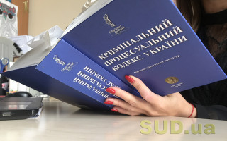 Нові правила обчислення строків досудового розслідування, - стала відома фінальна версія Комітету про скасування правок Лозового