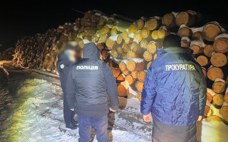 Збитки у щонайменше 10 млн грн: на Волині викрили схему з масштабного розкрадання лісу