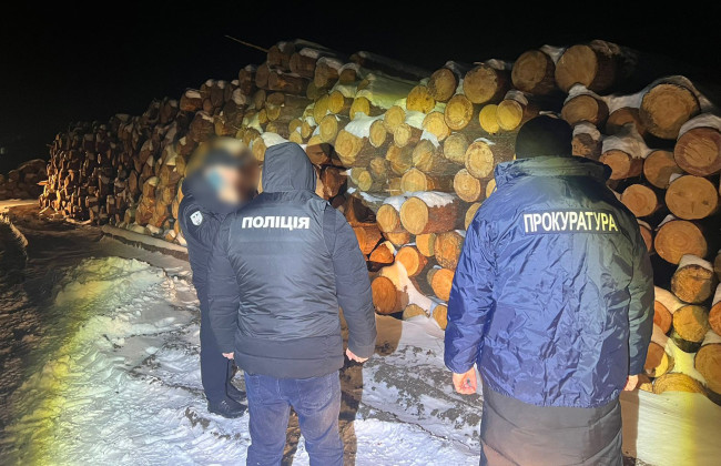 Ущерб в минимум 10 млн грн: на Волыни разоблачили схему по масштабному хищению леса