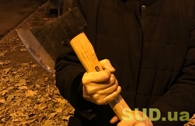 В Киевской области суд наказал мужчину, который пытался убить топором прохожую