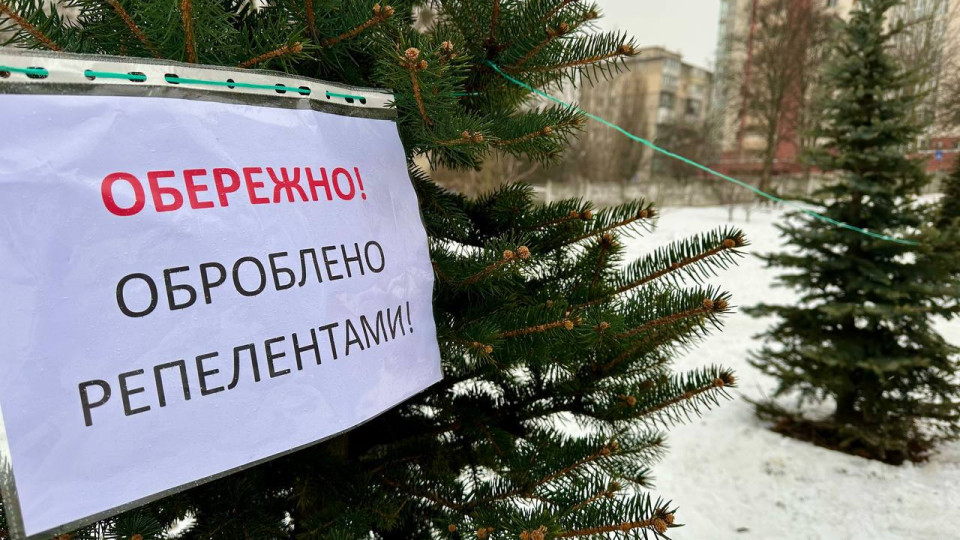 В Киеве хвойные деревья обрабатывают для защиты от вандализма в предновогодний период