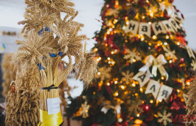 Новый год-2024: куда поставить живую елку, чтобы она не осыпалась, и как за ней ухаживать