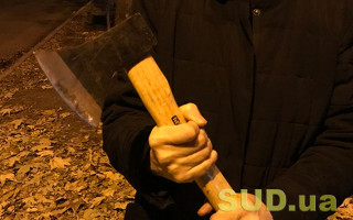 В Киевской области суд наказал мужчину, который пытался убить топором прохожую