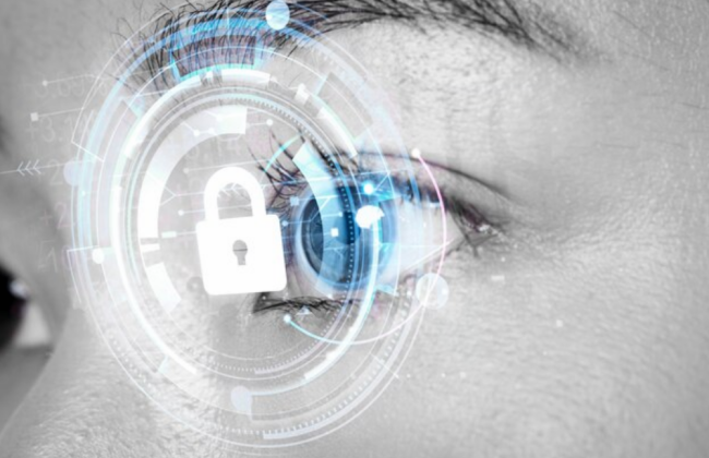 Украинские пенсионеры могут пройти идентификацию с помощью видеоконференцсвязи – ПФУ