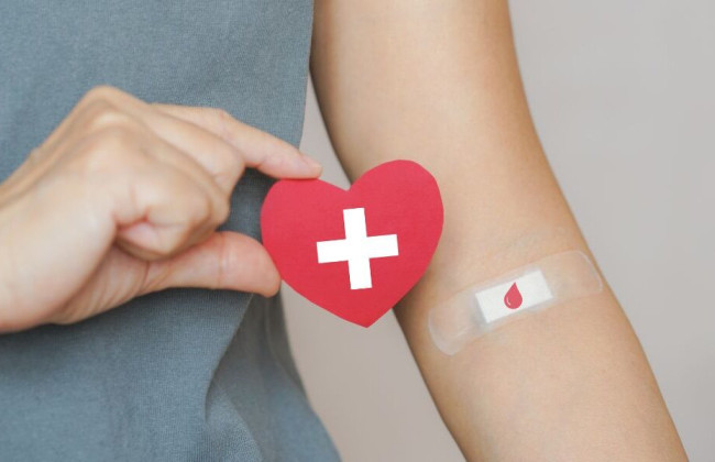 Как часто можно сдавать цельную кровь – объясняют в Минздраве