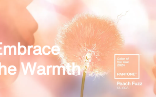 Pantone назвав головний колір 2024 року