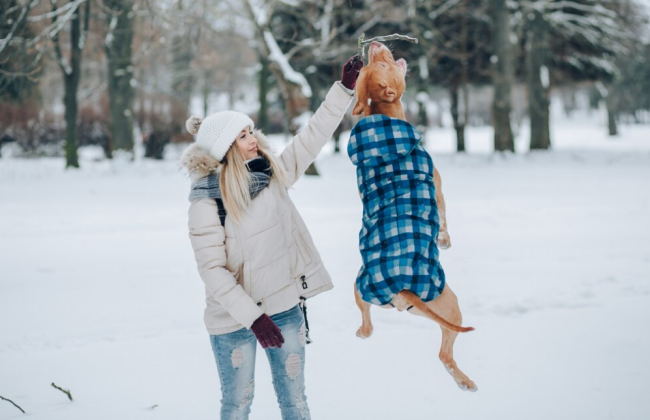 На Киевщине 11 декабря прогнозируют облачную погоду, а временами небольшой мокрый снег и дождь