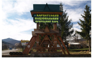 Работников Карпатского нацпарка подозревают в незаконной вырубке деревьев более чем на 400 тысяч гривен